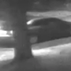 All Photos by: Ottawa Police